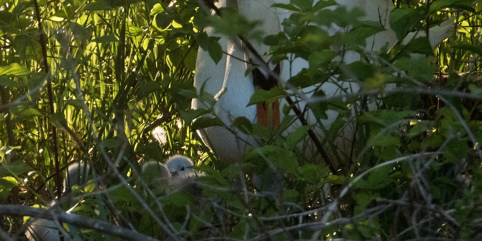 5102_amperstausee_200508