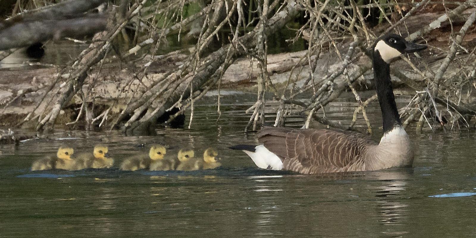 5569_amperstausee_200512