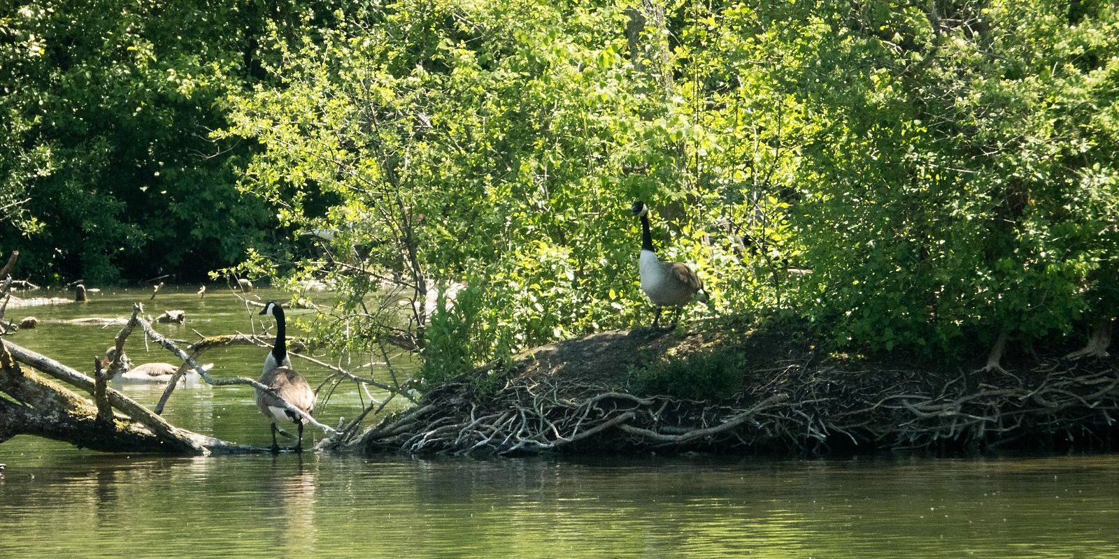 5797_amperstausee_200517