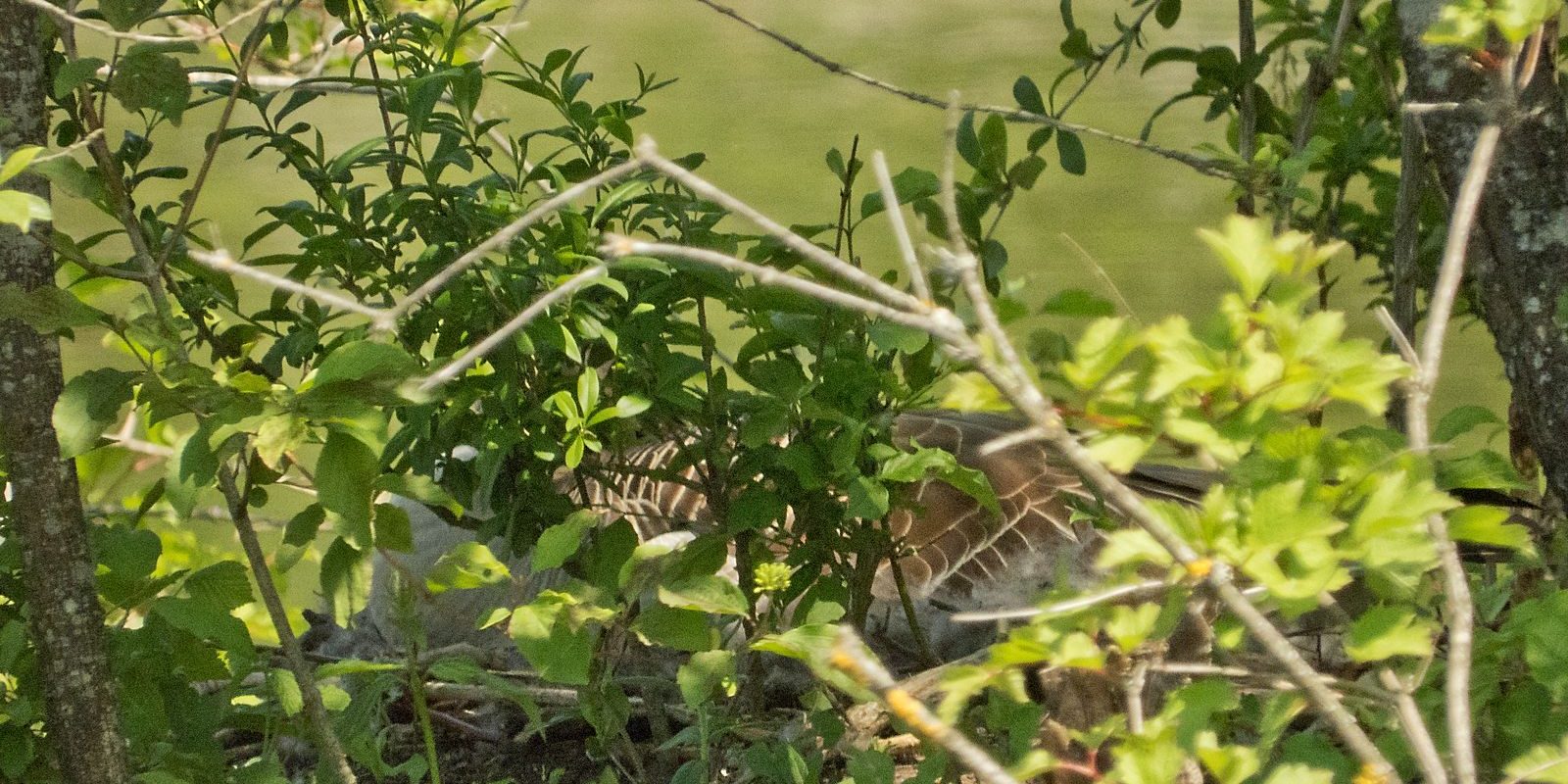 5950_amperstausee_200521