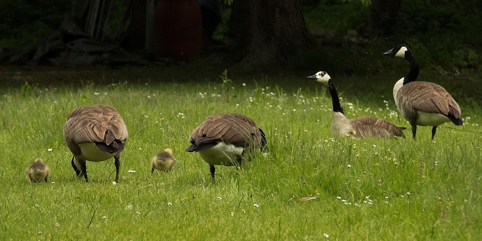 5974_amperstausee_200522