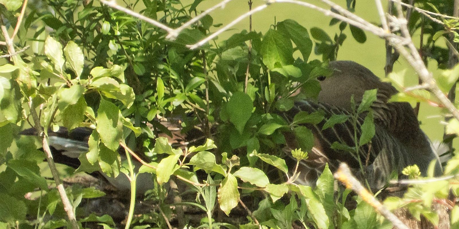 6114_amperstausee_200524