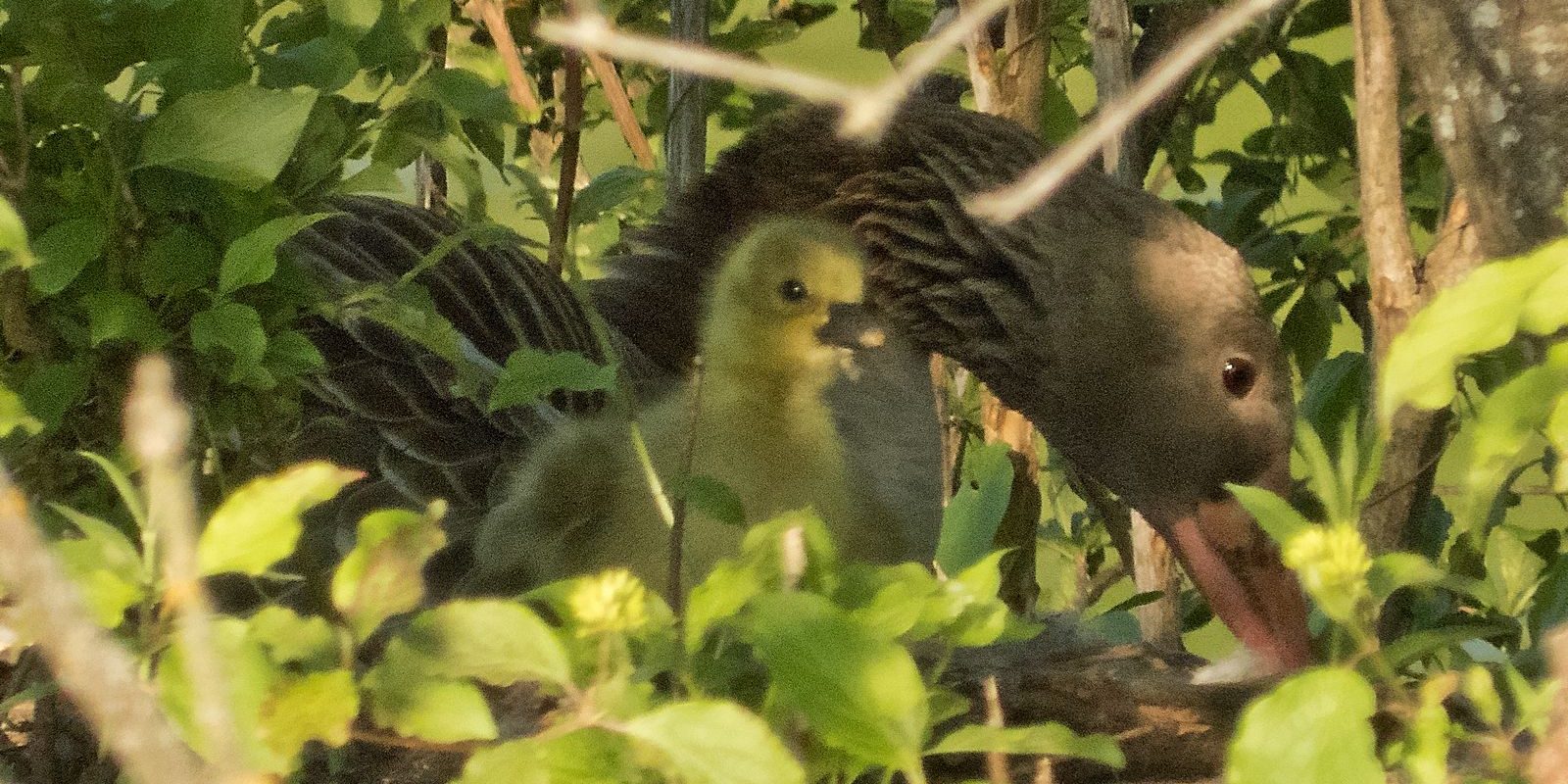 6161_amperstausee_200526