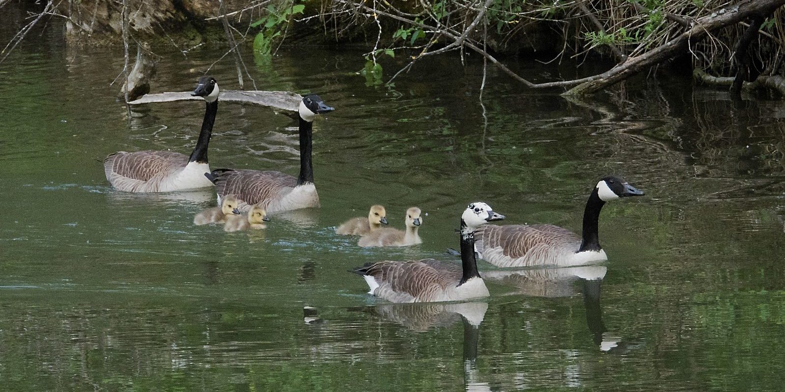 6245_amperstausee_200529