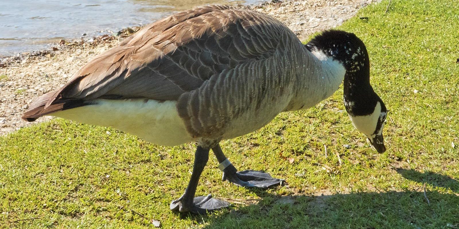 6554_amperstausee_200613