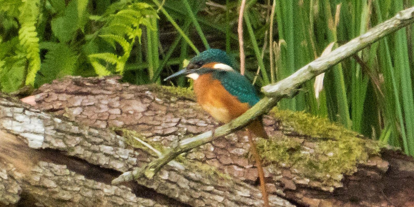 6716_amperstausee_200618