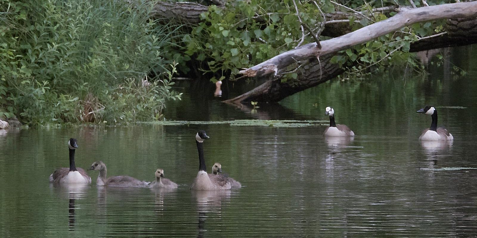 6757_amperstausee_200619