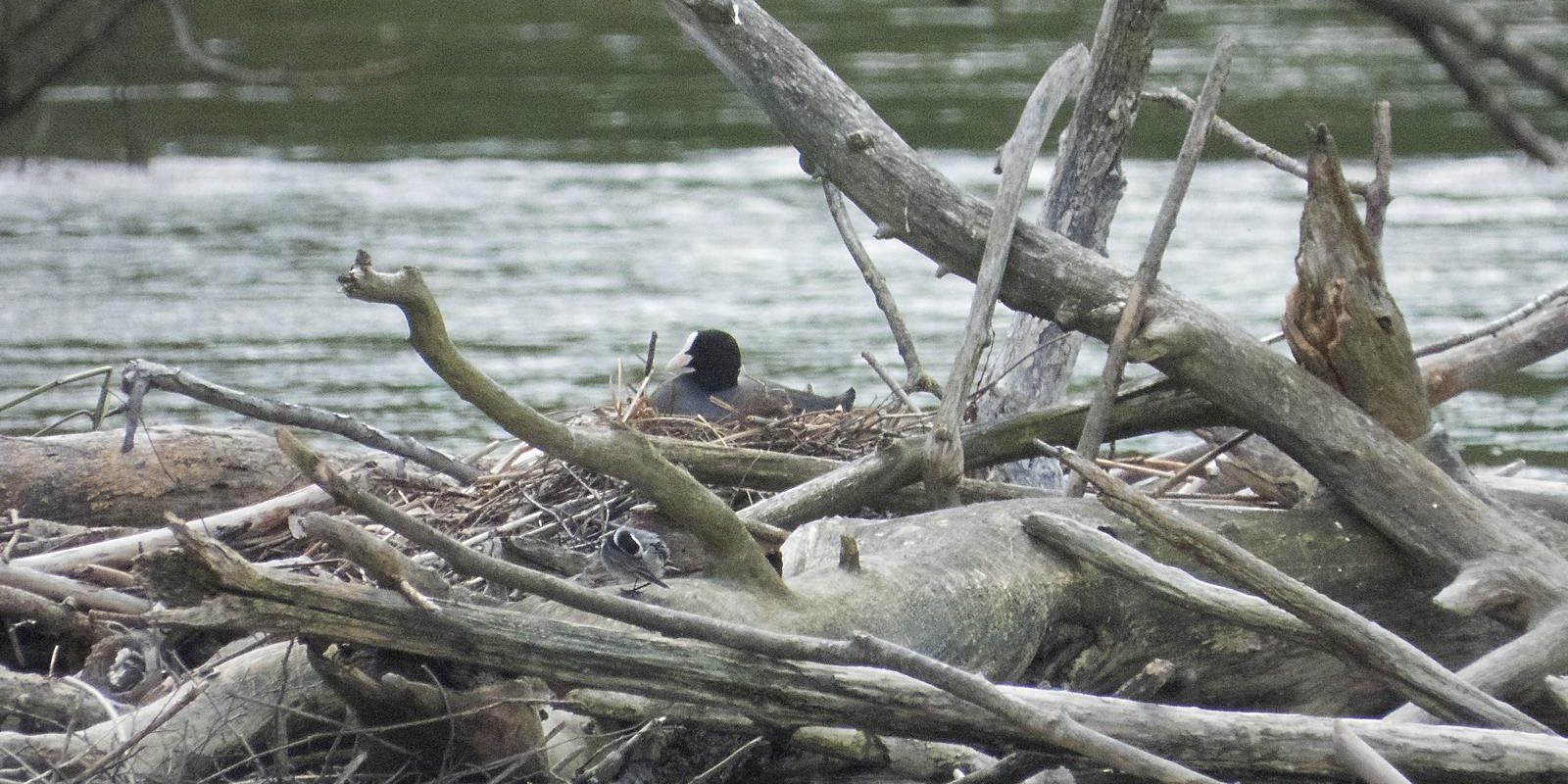 6785_amperstausee_200621