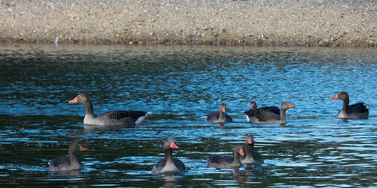 6986_amperstausee_200706