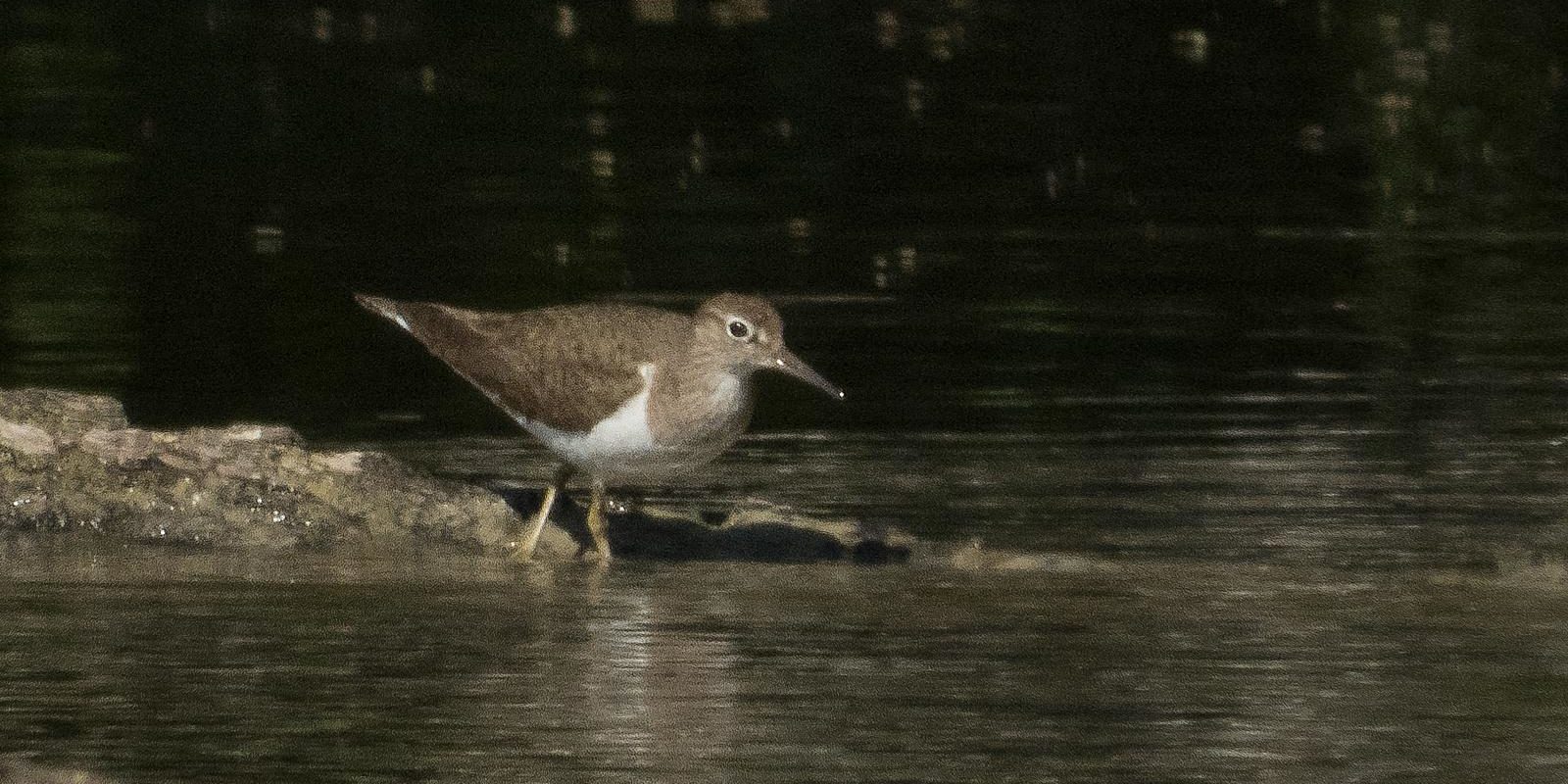 7095_amperstausee_200712