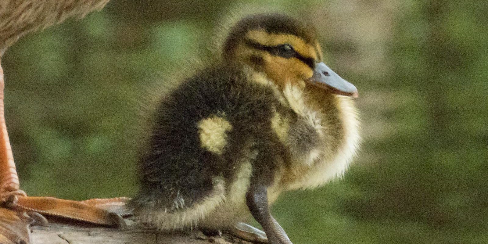 7283_amperstausee_200718