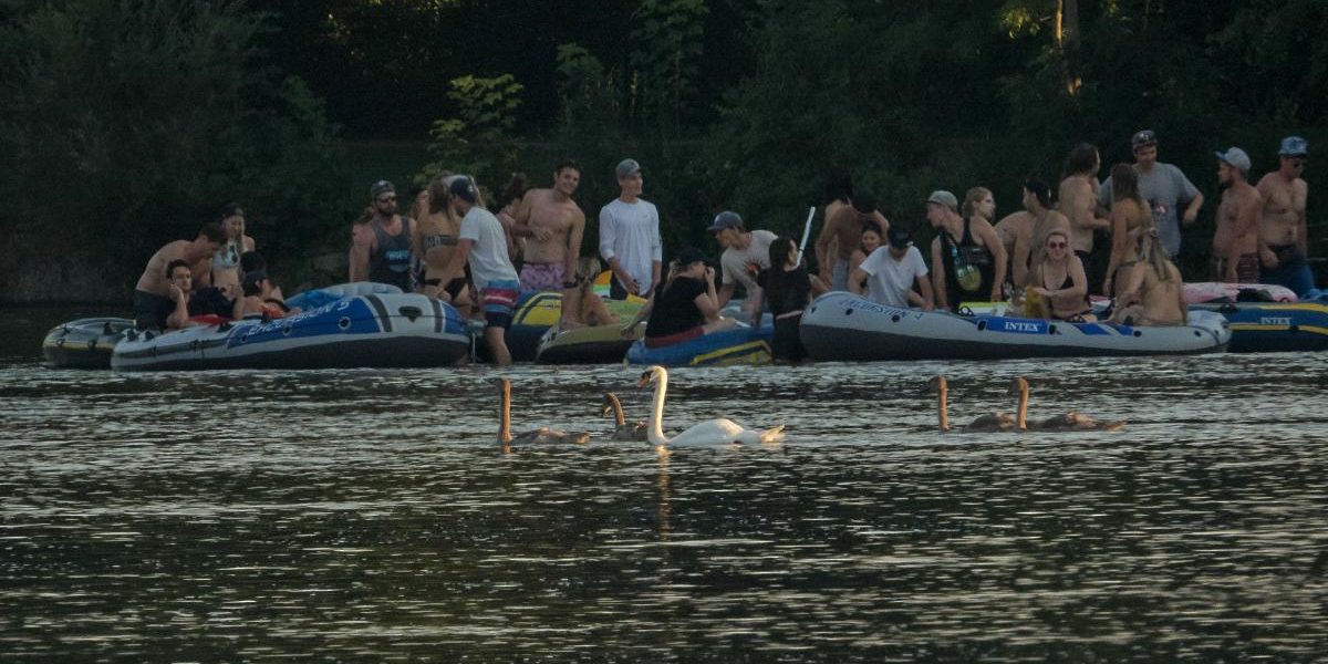 7847_amperstausee_200808